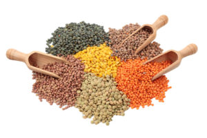 Lentil