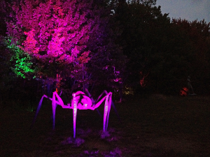 Night Lights at Griffis Sculpture Park, 6902 Mill Valley Road, East Otto. This 400-acre park near Ellicottville is home to over 250 sculptures — many of which you can climb up, in and on. It is one of the largest outdoor sculpture parks in the U.S.