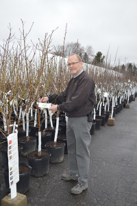 Dennis Keady, general manager at Garden Factory, Syracuse. “It’s not so much about the cost but about getting outside and enjoying the experience,” he says about gardening.