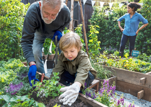 kid gardening