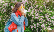 Rochester Annual Seasonal Pollen Onslaught Grows Near