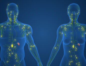 The Lymphatic System: The Body’s Unsung Guardian
