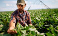 Farmers at Higher Risk for  Death by Suicide